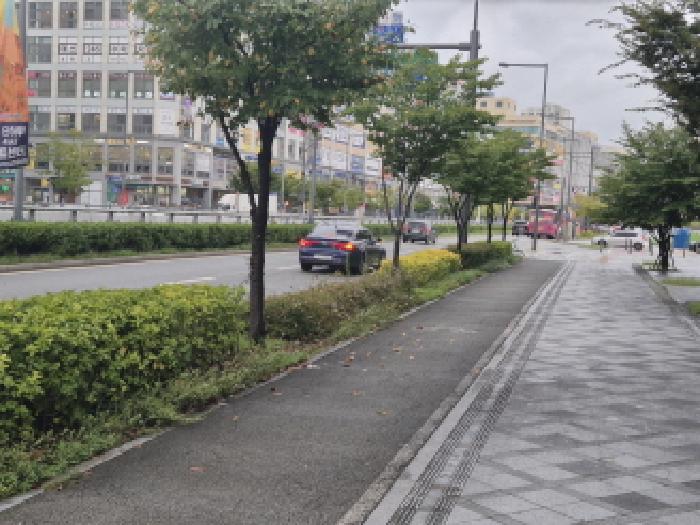 2025타경503380 상가근린 · 세종특별자치시 한누리대로