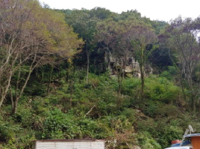 2025타경503409 대지 · 충청남도 금산군 진산면