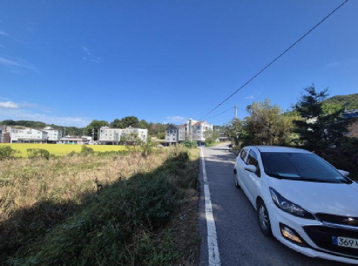 2025타경503480 대지 · 세종특별자치시 장군면