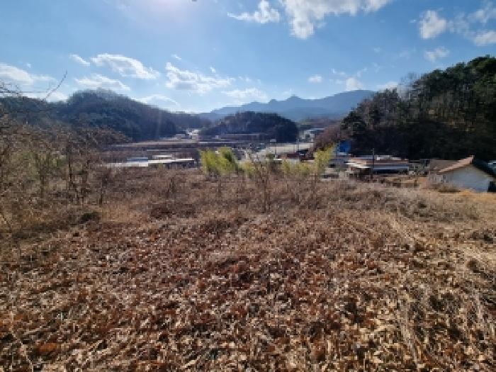 2025타경504173 임야 · 충청남도 금산군 금산읍 하옥리 산1-3