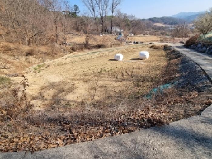 2026타경127 · 충청남도 금산군 군북면 호티리 10