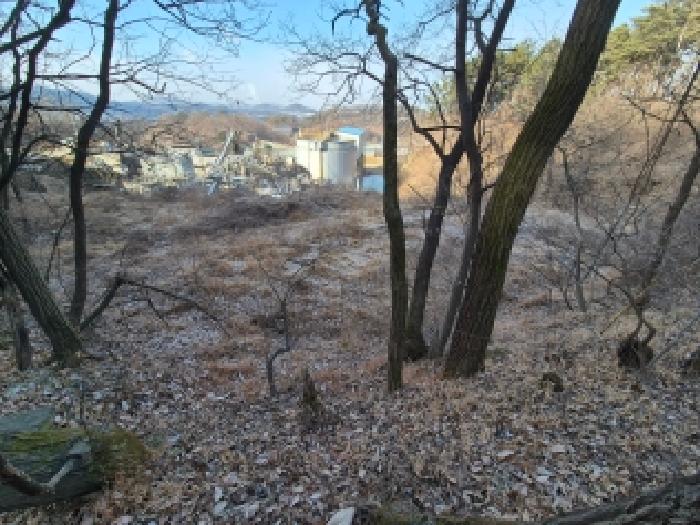 2026타경600025 대지 · 세종특별자치시 부강면