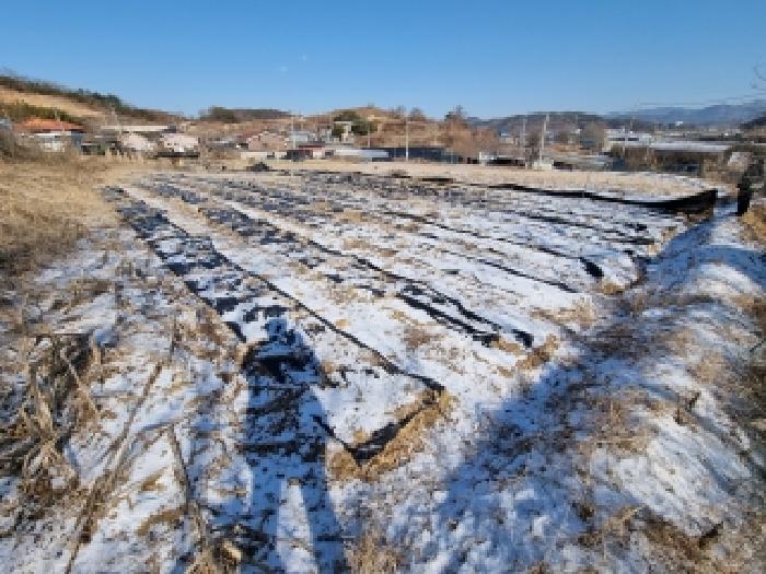 2026타경600042 대지 · 충청남도 금산군 금산읍