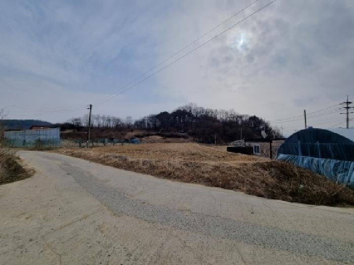 2026타경600144 대지 · 충청남도 금산군 금성면