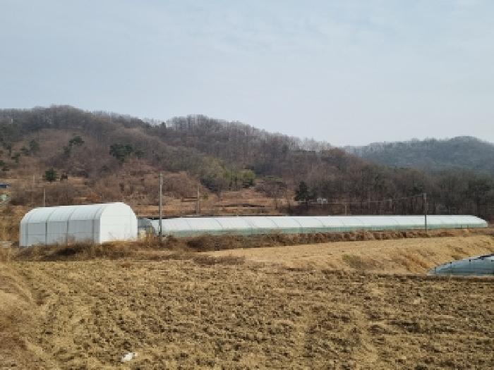 2026타경600184 · 충청남도 금산군 금성면 마수리 480-1