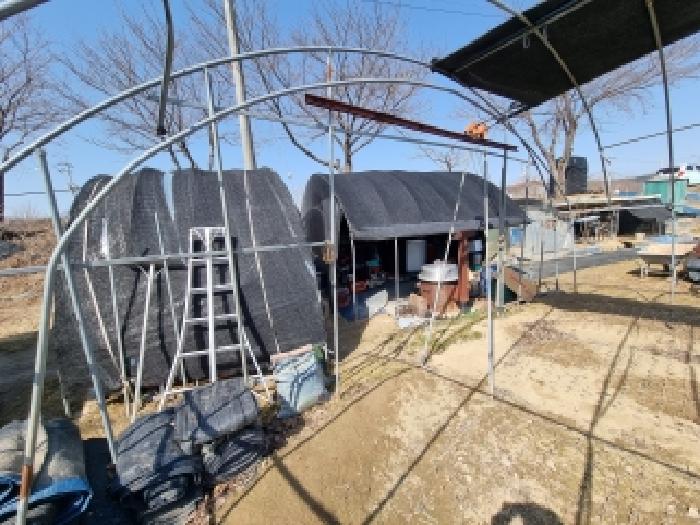 2026타경600197 전답 · 충청남도 금산군 금성면 파초리 166-3