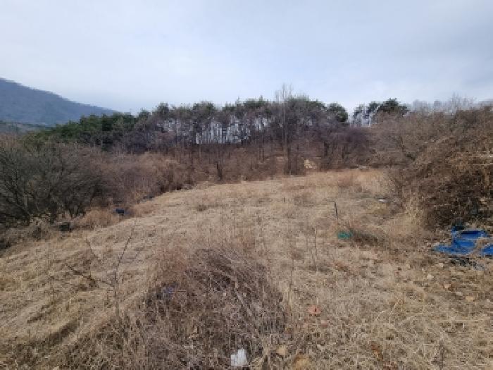 2026타경600229 전답 · 충청남도 금산군 군북면 산안리 118