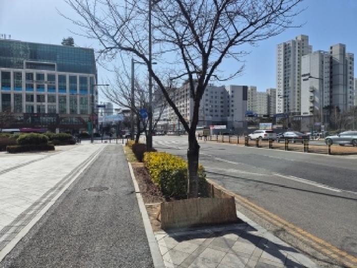 2026타경600248 상가근린 · 세종특별자치시 나성동 759 블루지움 1층101호