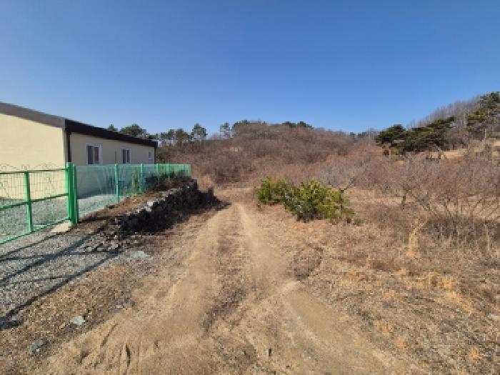 2026타경600329 임야 · 세종특별자치시 장군면 대교리 233-6