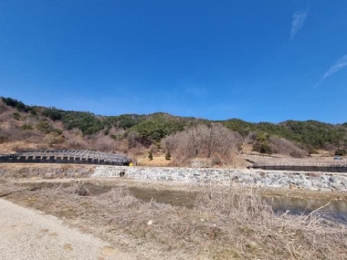 2026타경600332 임야 · 충청남도 금산군 진산면 삼가리 산39