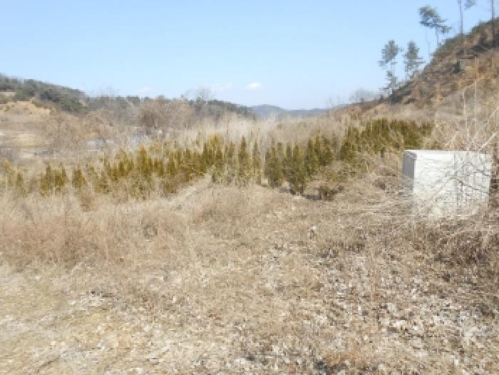 2026타경600353 · 세종특별자치시 연서면 청라리 290