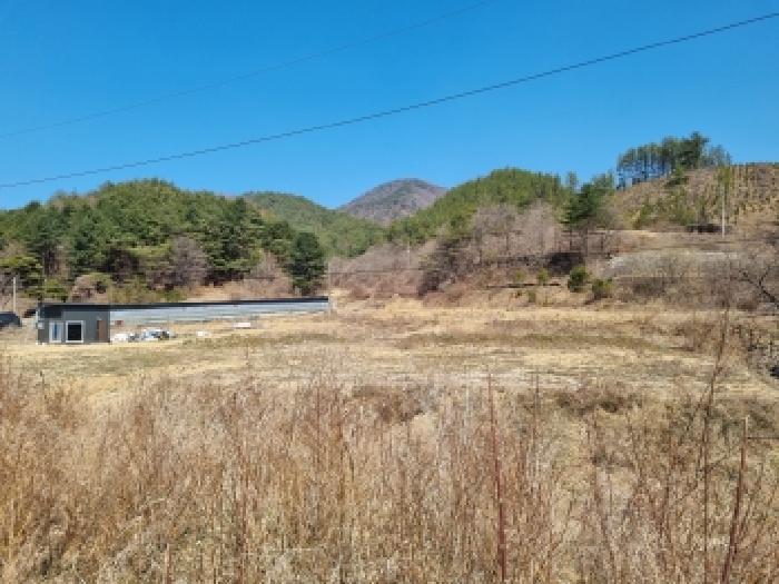 2026타경600446 대지 · 충청남도 금산군 남이면