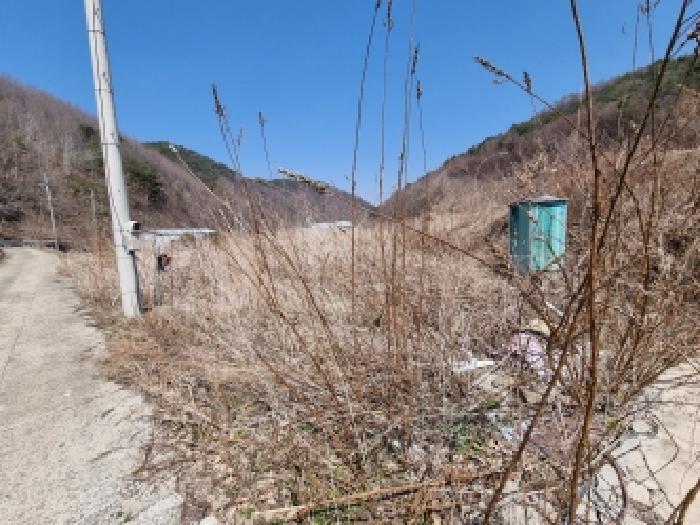 2026타경600484 전답 · 충청남도 금산군 진산면 묵산리 270