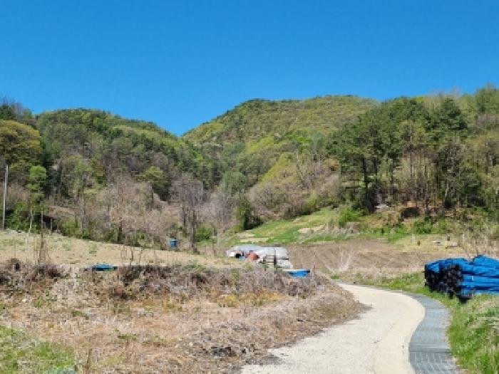 2026타경600530 · 충청남도 금산군 진산면 교촌리 454