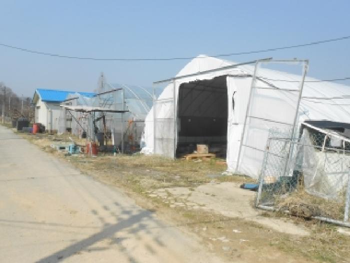 2026타경600561 대지 · 세종특별자치시 연서면
