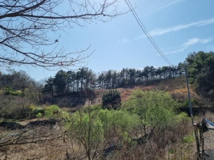 2026타경600678 · 충청남도 금산군 제원면 대산리 550-1