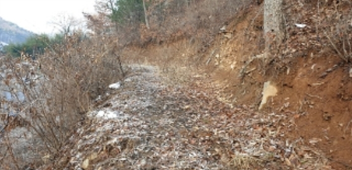 2023타경21156 대지 · 충청남도 예산군 예산읍