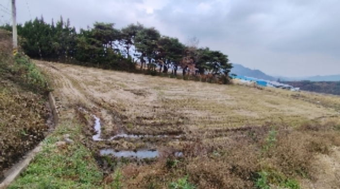 2024타경21429 전답 · 충청남도 보령시 청라면