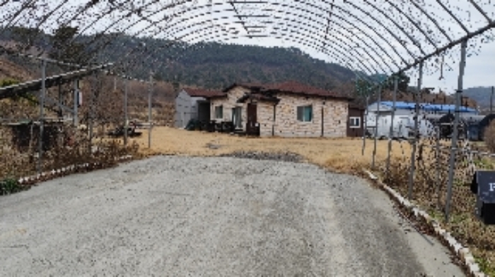 2024타경21979 · 충청남도 보령시 남포면