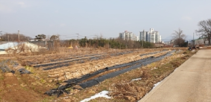 2024타경22262 · 충청남도 홍성군 홍성읍 월산리 71-2
