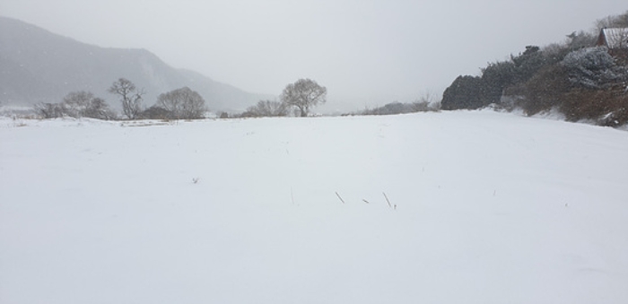 2024타경88 대지 · 충청남도 예산군 덕산면