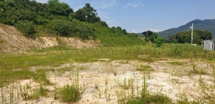 2025타경1101 대지 · 충청남도 홍성군 금마면