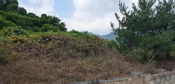 2025타경1110 · 충청남도 예산군 덕산면
