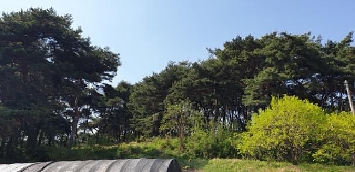 2025타경15678 임야 · 충청남도 홍성군 홍북읍