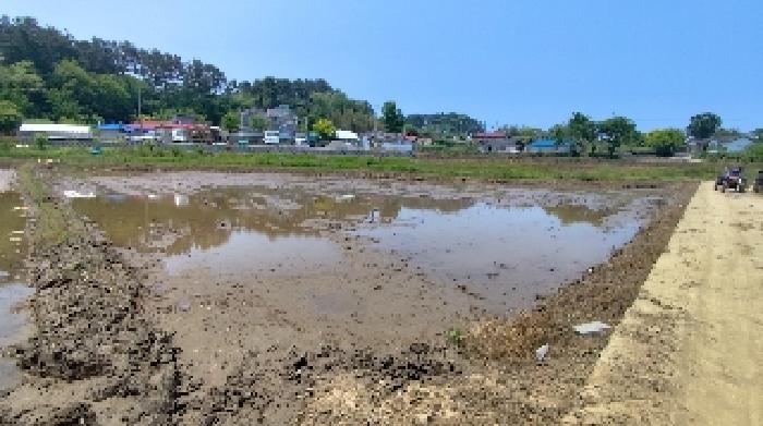 2025타경15717 · 충청남도 보령시 웅천읍 독산리 663-7
