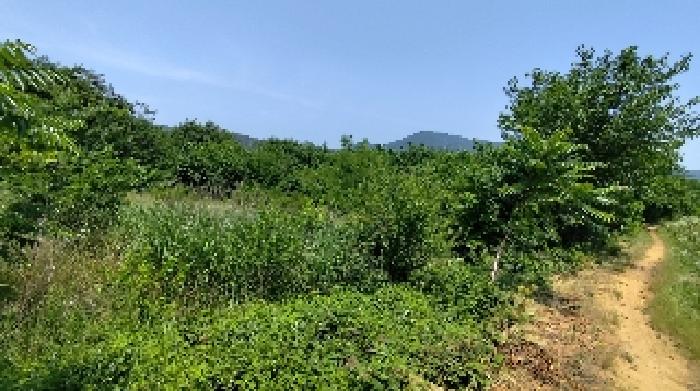 2025타경15775 전답 · 충청남도 홍성군 광천읍