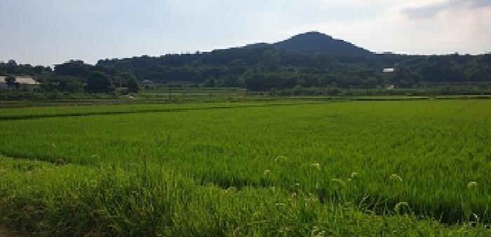 2025타경15861 전답 · 충청남도 예산군 광시면