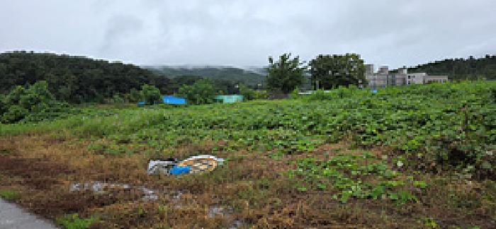 2025타경15982 대지 · 충청남도 예산군 덕산면