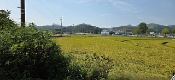 2025타경15990 임야 · 충청남도 홍성군 서부면 이호리 산4-5
