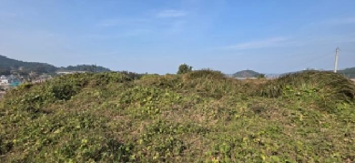 2025타경16070 · 충청남도 보령시 오천면 원산도리 1240