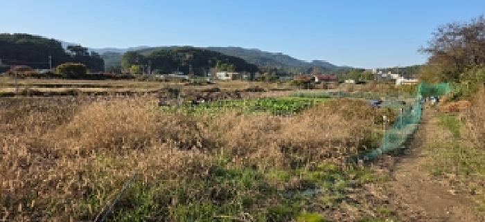 2025타경16072 전답 · 충청남도 예산군 덕산면