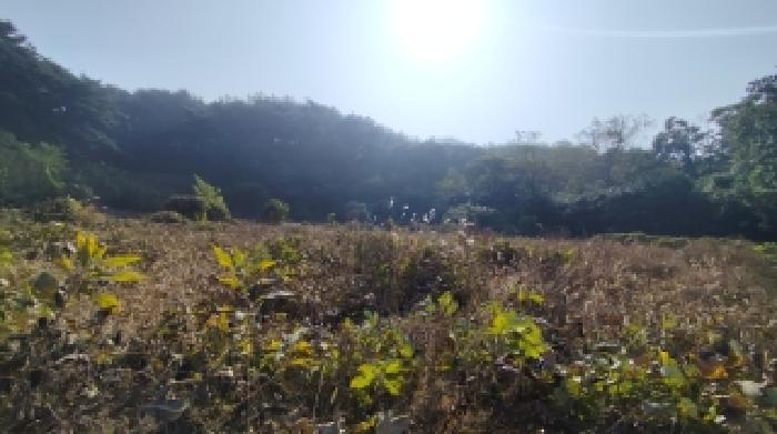 2025타경16073 · 충청남도 보령시 남포면 월전리 686