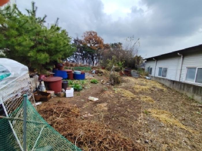 2025타경16097 · 충청남도 보령시 죽정동 674-14