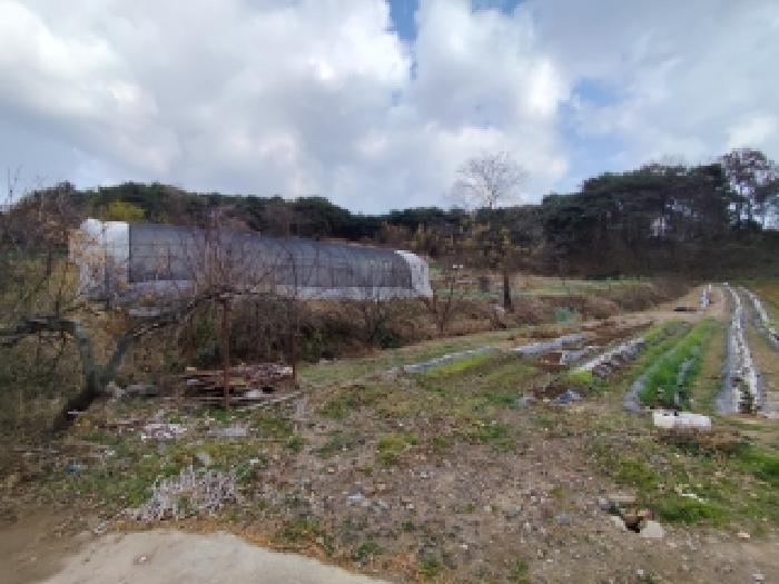 2025타경16099 · 충청남도 홍성군 광천읍 대평리 541-1