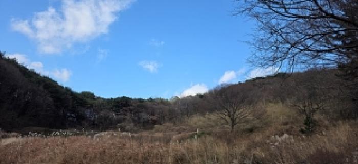 2025타경16129 임야 · 충청남도 예산군 봉산면