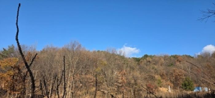2025타경16134 임야 · 충청남도 예산군 예산읍 간양리 산85