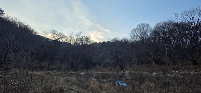 2025타경16148 임야 · 충청남도 예산군 덕산면