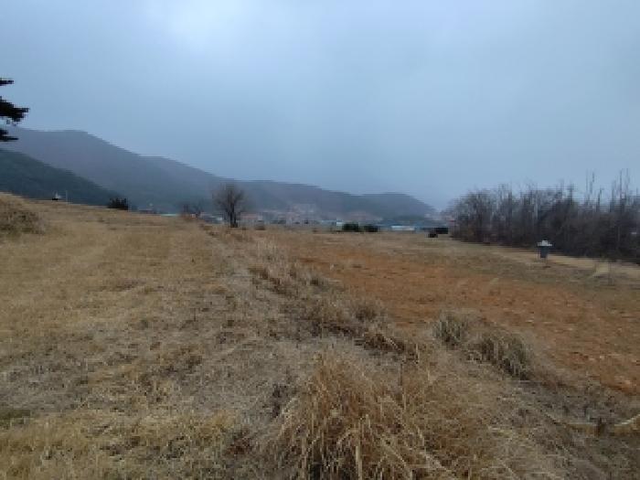 2025타경16186 · 충청남도 보령시 청라면 소양리 575-18