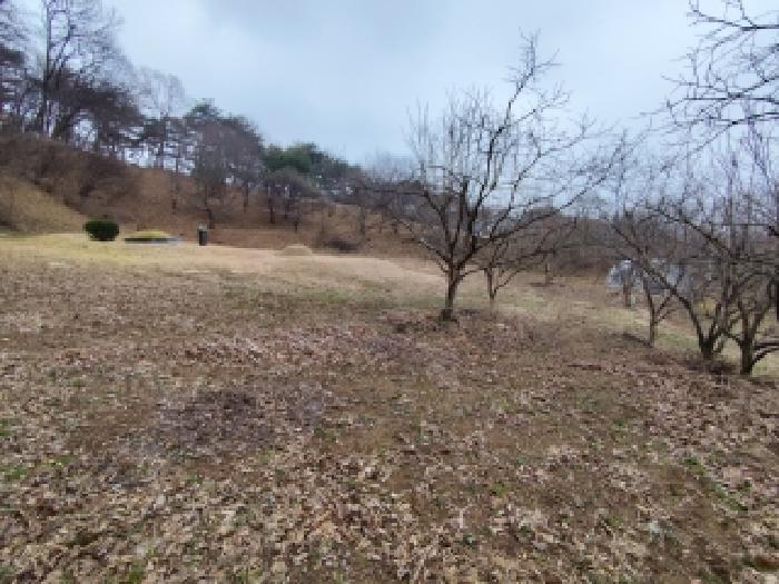 2025타경16222 · 충청남도 보령시 청라면 내현리 35