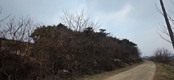 2025타경16229 임야 · 충청남도 예산군 삽교읍 이리 560-9
