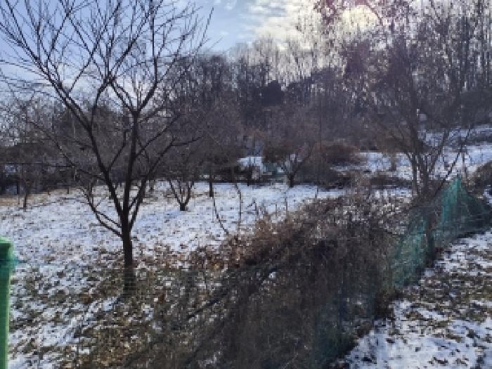 2026타경15023 전답 · 충청남도 보령시 주포면 관산리 455-2