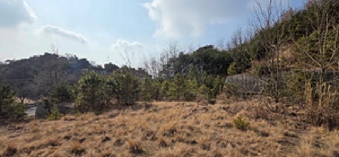 2026타경15080 임야 · 충청남도 예산군 덕산면 신평리 317-5