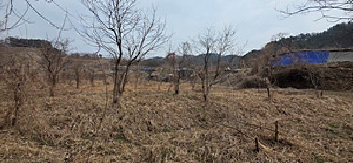 2026타경15164 전답 · 충청남도 예산군 예산읍 대회리 183