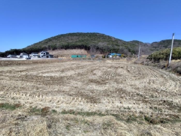 2026타경15177 임야 · 충청남도 보령시 천북면 사호리 산150