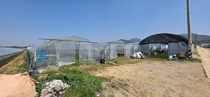 2026타경84 전답 · 충청남도 예산군 예산읍 궁평리 509-9