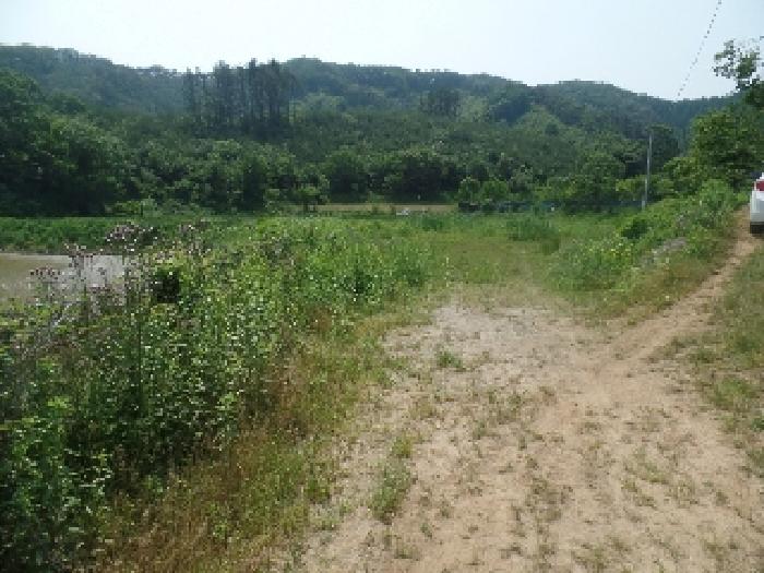 2025타경20305 · 충청남도 논산시 벌곡면 조동리 78